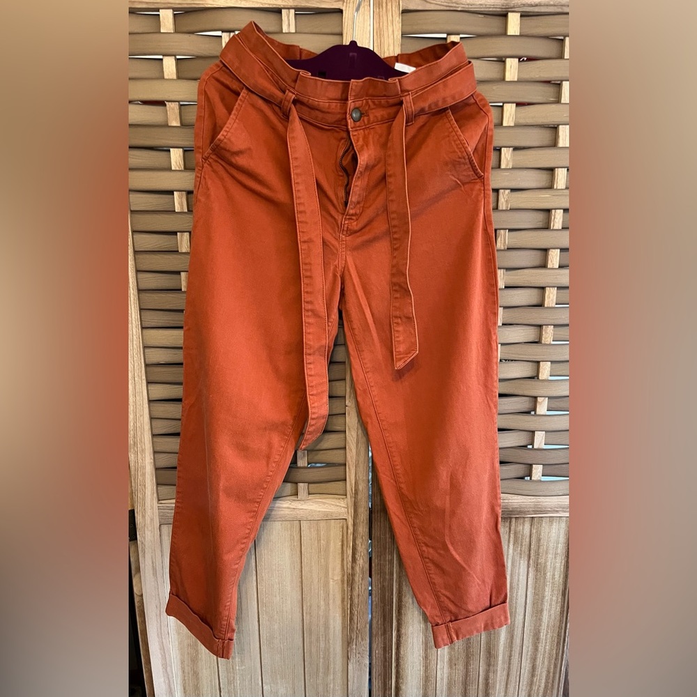 Banana Republic Burnt Orange Barrel Pants